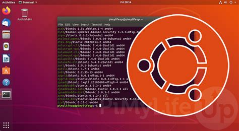 ubuntu get installed package version